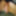 Dick pics #6