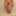 Hairy JoyTwoSex In The Shower