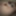 Naughty GIFS