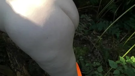 tit ass and pussy spanking with tree branch         