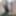 Indian mallu young boy Dick