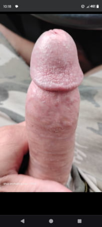 Bator cock 