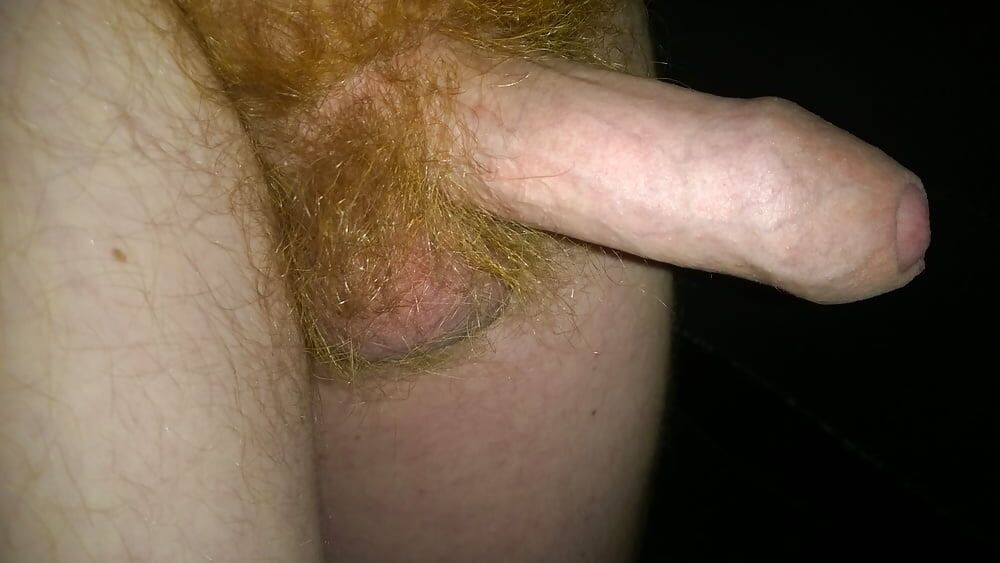 My Red Bush Dick