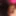 Saborear o resultado do prazer