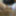 Solo masturbation in panties and stockings #7