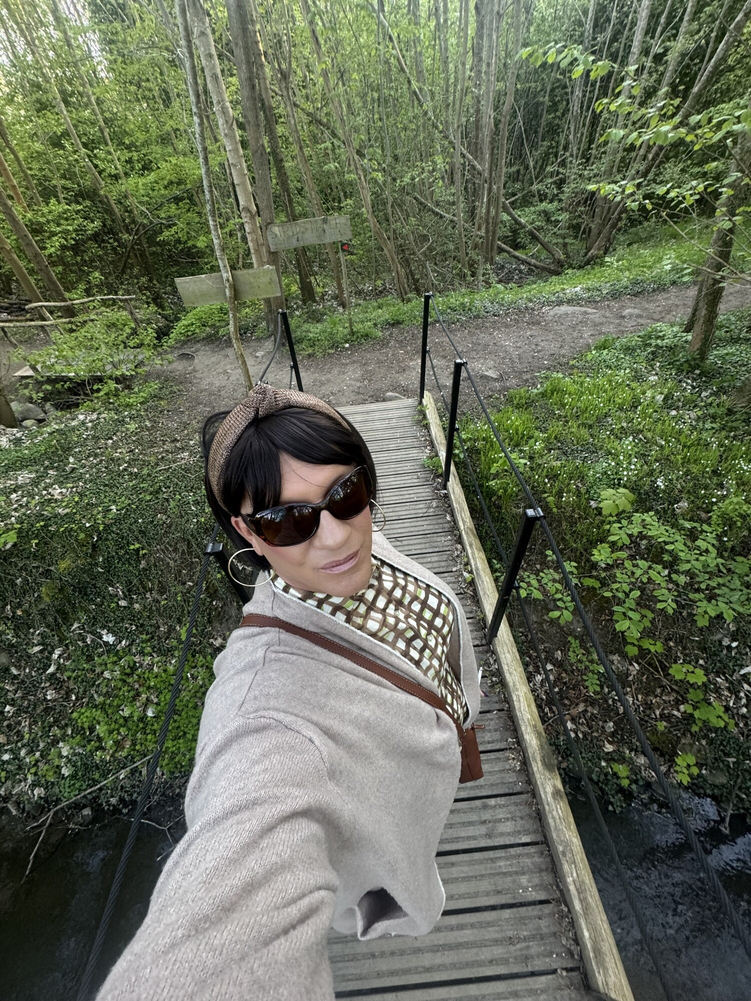 Walking in the woods #8