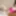 FEMOUT.XXX: Taking It To The Maxima #3