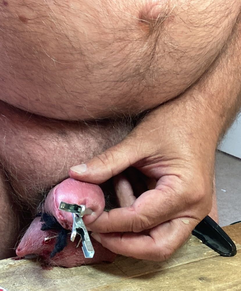 My tortured cock and balls pics #12