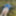 Cover up, reveal #51