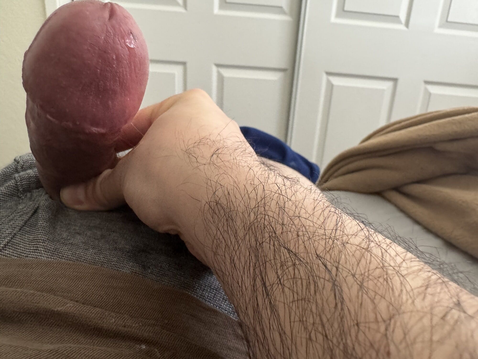 Cock #10