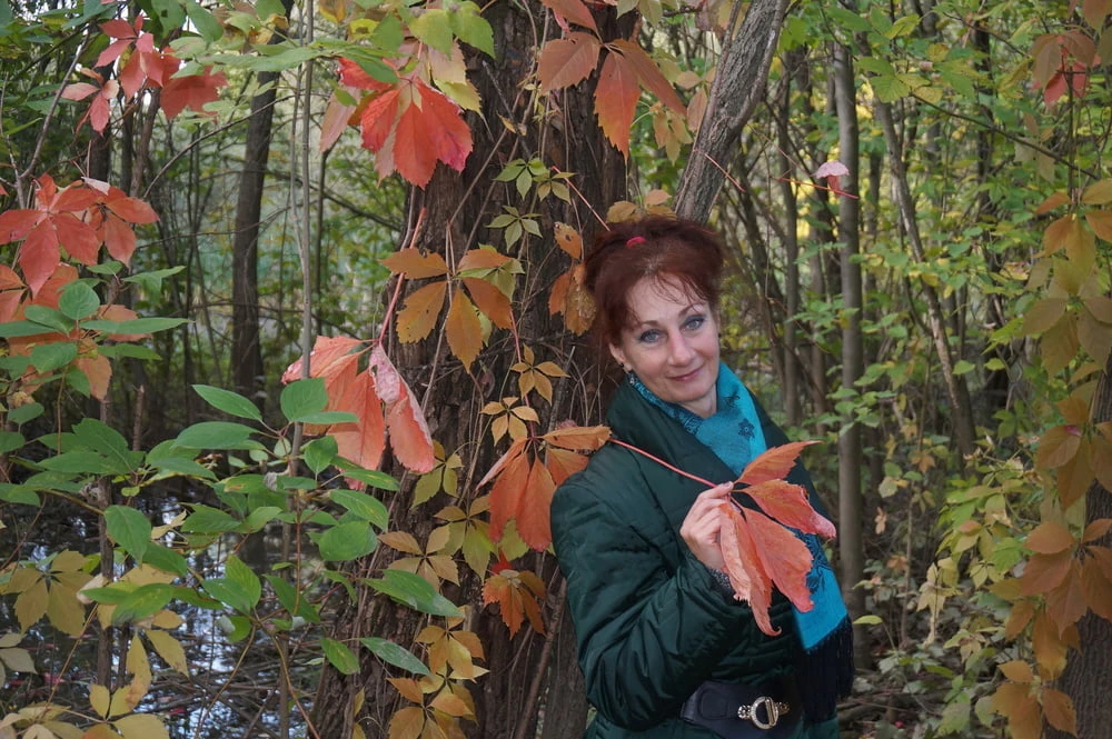Autumn plot #20