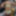 News ensemble vert et baiser directement  #4