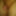 circumcised penis small smooth #21