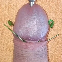 Needles