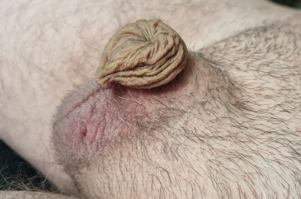  Very small and hairy #7