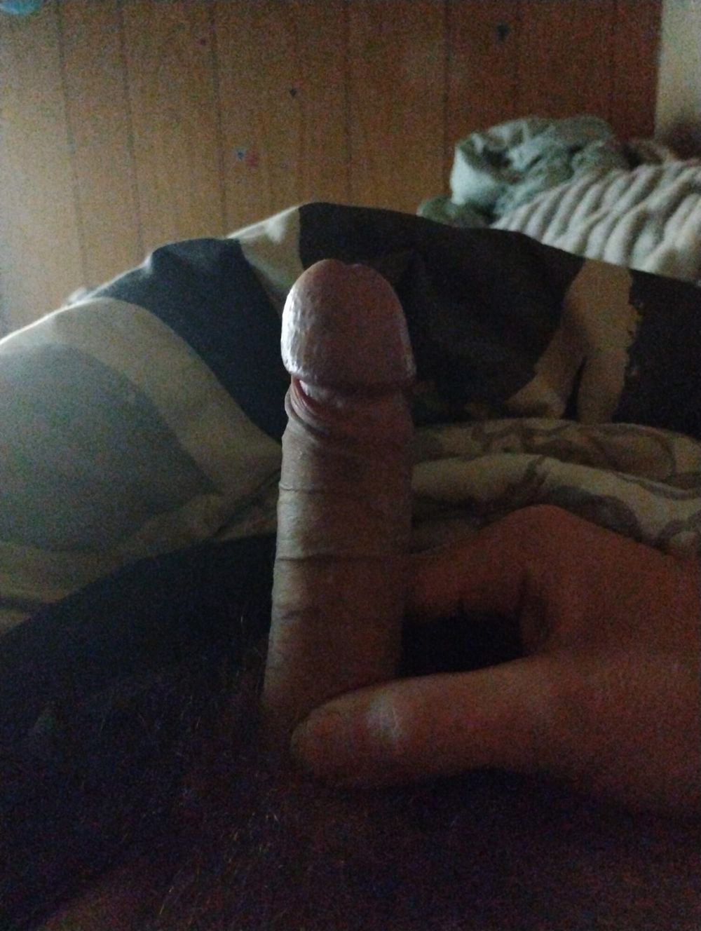 My hard dick