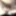 Great cock sucking, cumshots, pussy close ups 