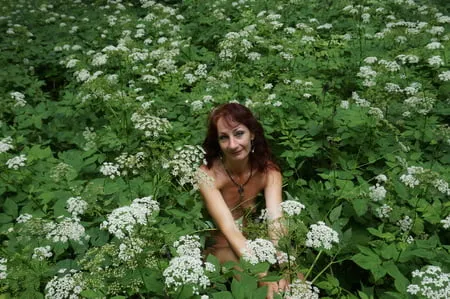 in white flowers           