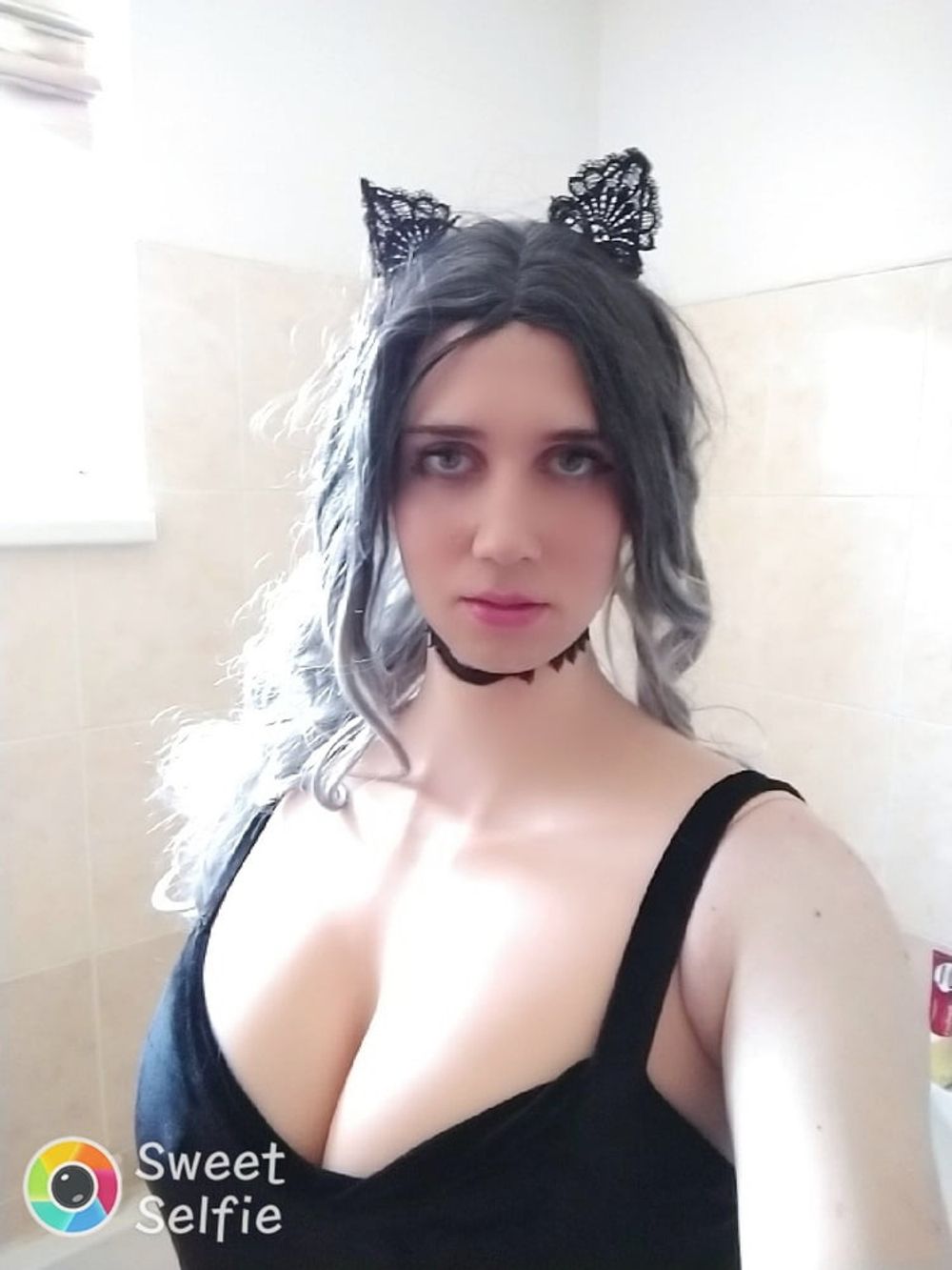 Black Kitty #3