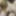 Huge Facial - Videos on onlyfans - MJ Dawn #2