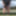 sounding dildo outdoors 12
