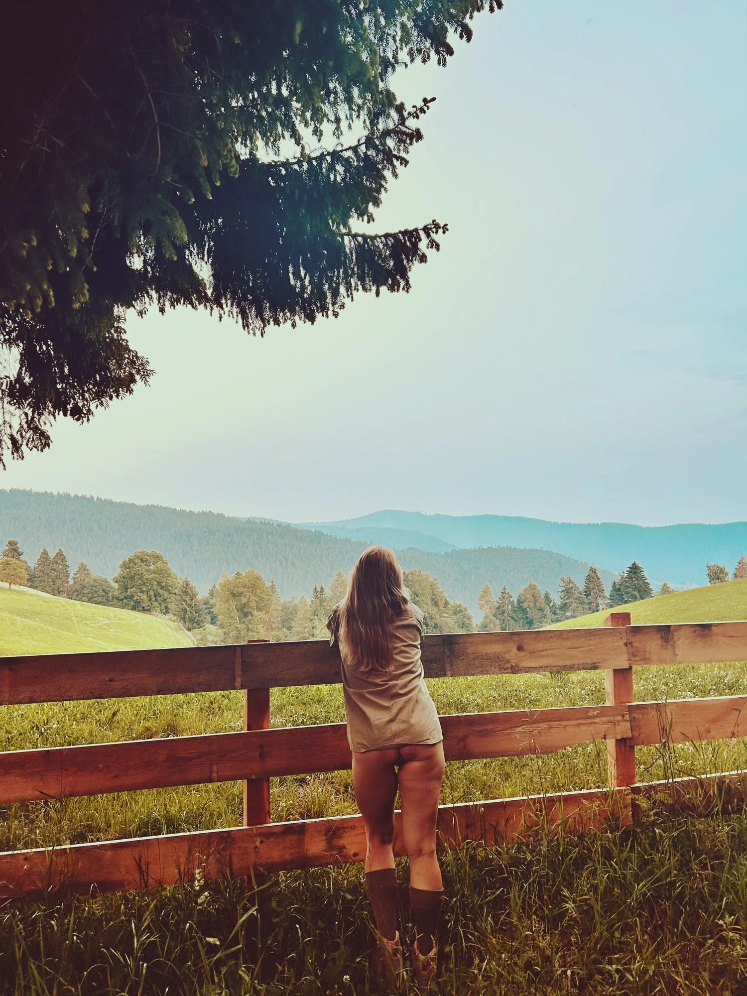 자유, 자연, 욕망. 내 여행 이야기