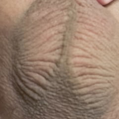 Eier