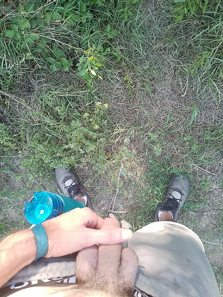 Nature #5