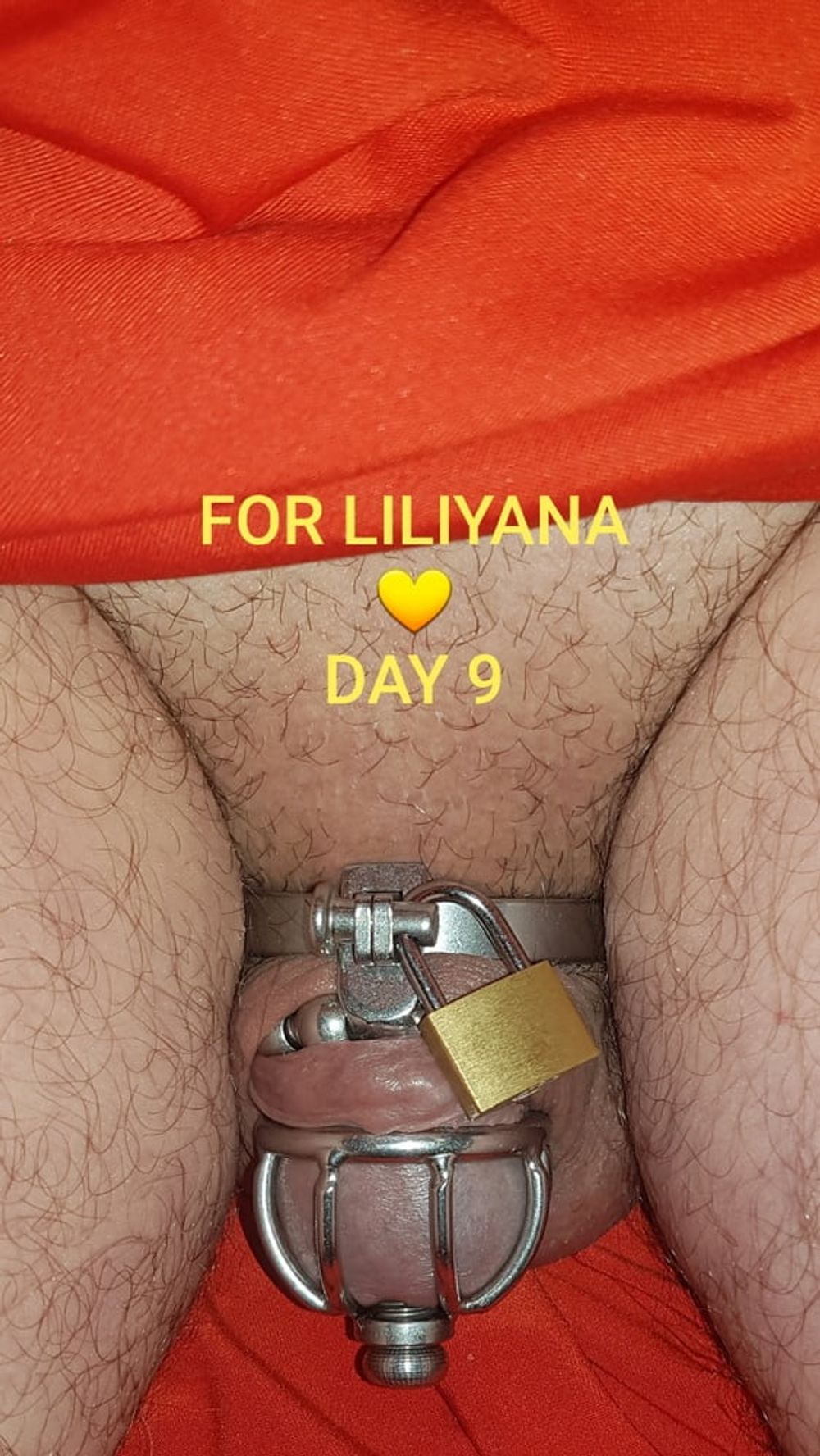 Chastity cage for Liliyana #9