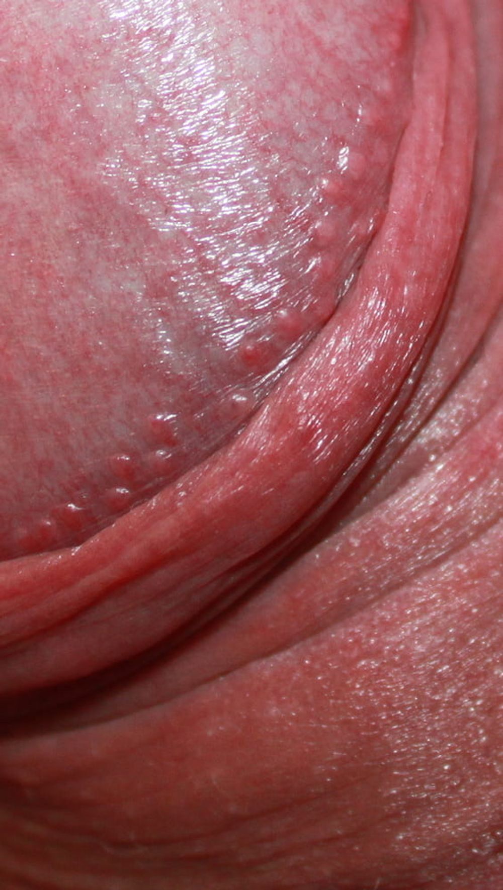 Close up dick #52