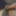 Hairy Dick And Balls Masturbation 