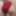 Red panties 