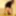 Best Moments – Handjob and Dildo Riding