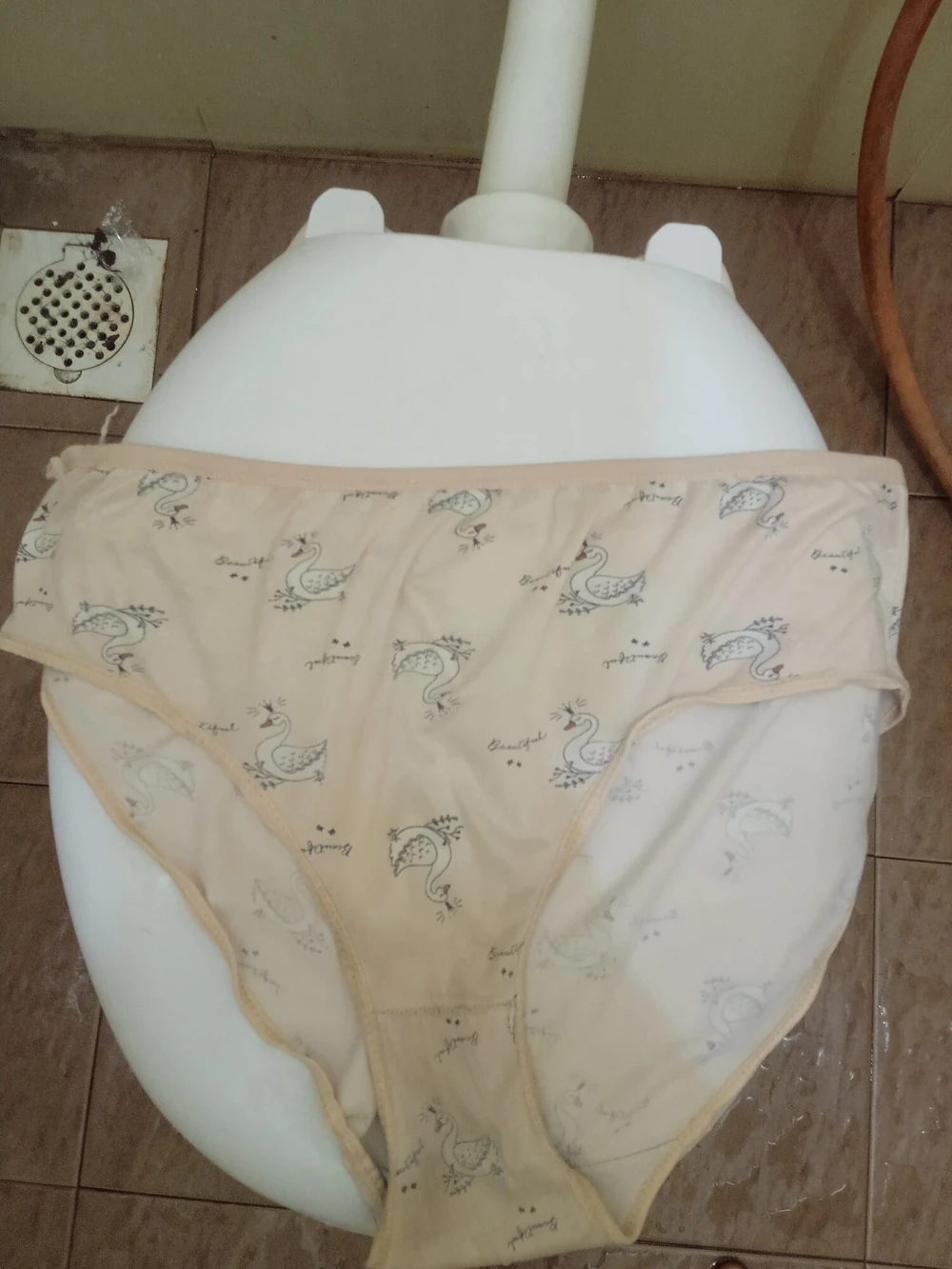 my panties