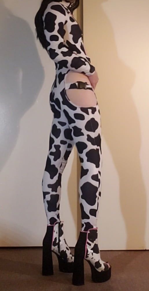 Cow Slut in Her Spots