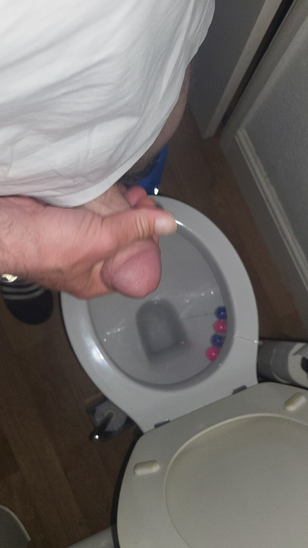 Cock #14