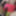 Test Gallery #14