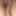 Cock #12