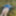 Cover up, reveal #52
