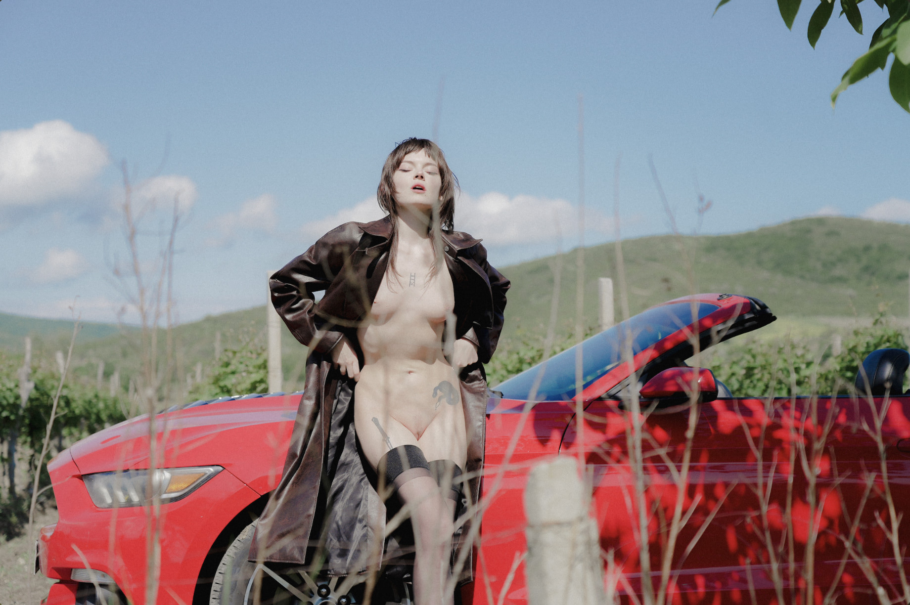 Auddicted Mustang Nude Pack 2024