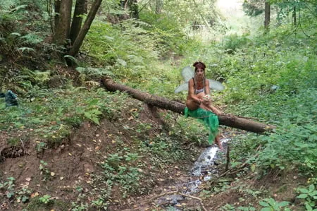 elf on the log         