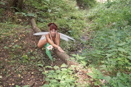 elf on the log         