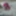 lizzy yum DIARY of a SEX TOY REPRESENTATIVE 2022-2023 #5
