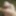 My favorite cum shots 