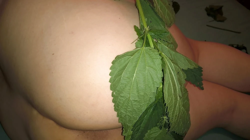 Nettles #23