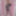 Joanie - Oh La La Cheri Floral Embroidered Lingerie #21