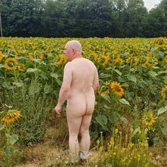 meadow