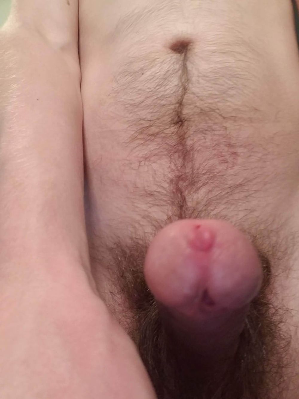 Cock #8