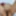 Varshali's nude photoshot #5