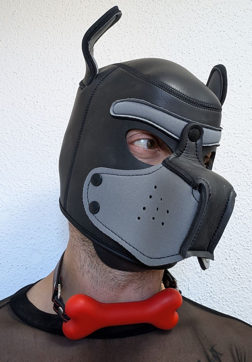 Meet your Sir - Master - Dom - Handler - Wolf #2